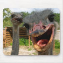 Suche nach strauß mousepads Vögel