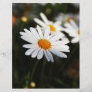 Suche nach umwelt flyer Grün