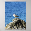 Suche nach vogel auf felsen poster Meer