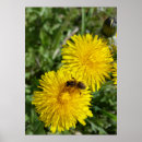 Suche nach mit biene poster Sommer