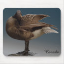 Suche nach kanada gänse mousepads Kanadisch