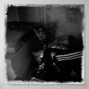 Suche nach moving poster Katze