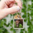 Suche nach farm animal schlüsselanhänger Cattle