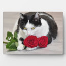 Suche nach rote rosen fotoplatten Schwarz