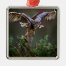 Suche nach fliegender vogel ornamente Flug