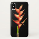Suche nach tropisch iphone5 hüllen Foto