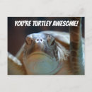 Suche nach lustige schildkröte postkarten Wortspiel