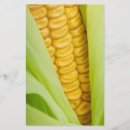 Suche nach gemüse flyer Nahrung