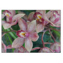 Suche nach orchideen schneidebrettchen Tropisch