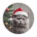 Suche nach lustige katzen schneidebrettchen Kätzchen