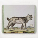 Suche nach luchs mousepads Wild