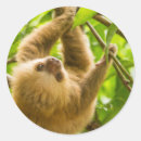 Suche nach merkwürdig aufkleber Natur