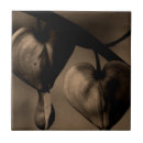 Suche nach asiatische fliesen Modern