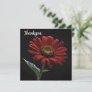 Suche nach roter schwanz karten Blume