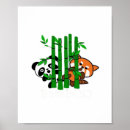 Suche nach baby waschbär poster Lustig