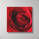 Suche nach roter hintergrund leinwandbilder Rose