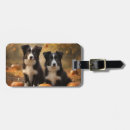 Suche nach border collie gepäckanhänger Welpe