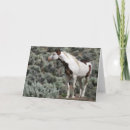 Suche nach mustang karten Hengst