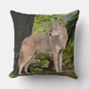 Suche nach coyote kissen Tierwelt