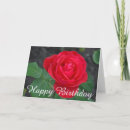 Suche nach single rote karten Rose