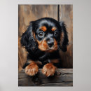 Suche nach cavalier king charles spaniel kunst poster Reiter