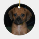 Suche nach puggle ornamente Verzierung