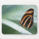 Suche nach wing mousepads Schmetterling