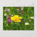 Suche nach attraktive postkarten Blume