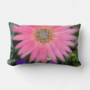 Suche nach rosa gerbera kissen Quelle