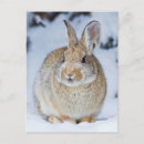 Suche nach wyoming postkarten Elizabeth boehm