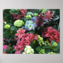 Suche nach garten mit blumen poster Orange