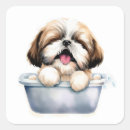 Suche nach shih tzu aufkleber Aquarell