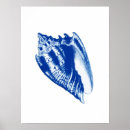 Suche nach weiße muschel poster Seashell