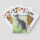 Suche nach känguru spiele spielkarten Australisch