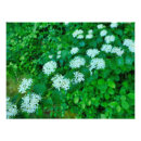 Suche nach schrein poster Grün