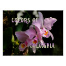 Suche nach cattleya poster Natur