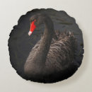 Suche nach schnabel kissen Vogelvogel