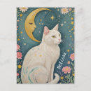 Suche nach weiße katze postkarten Tierfreunde