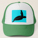 Suche nach schildkröten kappen Ozean