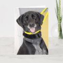 Suche nach schwarzer labrador karten Hundeliebhaber