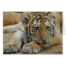 Suche nach amur postkarten Natur