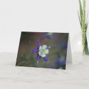 Suche nach columbine karten Mit blumen