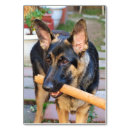 Suche nach kaninchen tischkarten Tiere