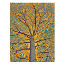Suche nach digitalart poster Natur