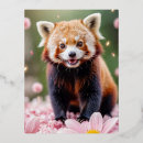 Suche nach roter panda postkarten Glücklich
