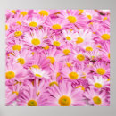 Suche nach rosa hintergrund poster Abstrakt