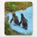 Suche nach allein mousepads Tierwelt