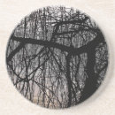 Suche nach weide untersetzer Bäume