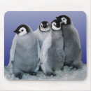 Suche nach babys mousepads Pinguin