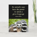 Suche nach lemur karten Niedlich